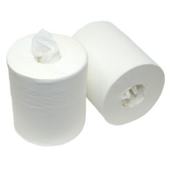 Poetspapier, 1 laags, zonder koker 280mtrx20cm, 6 rol p/c.